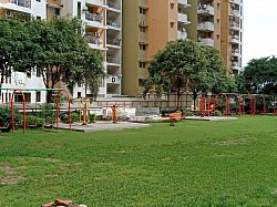 Park 6